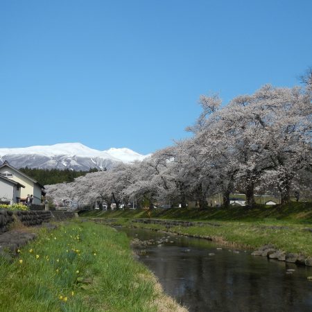 中山河川公園